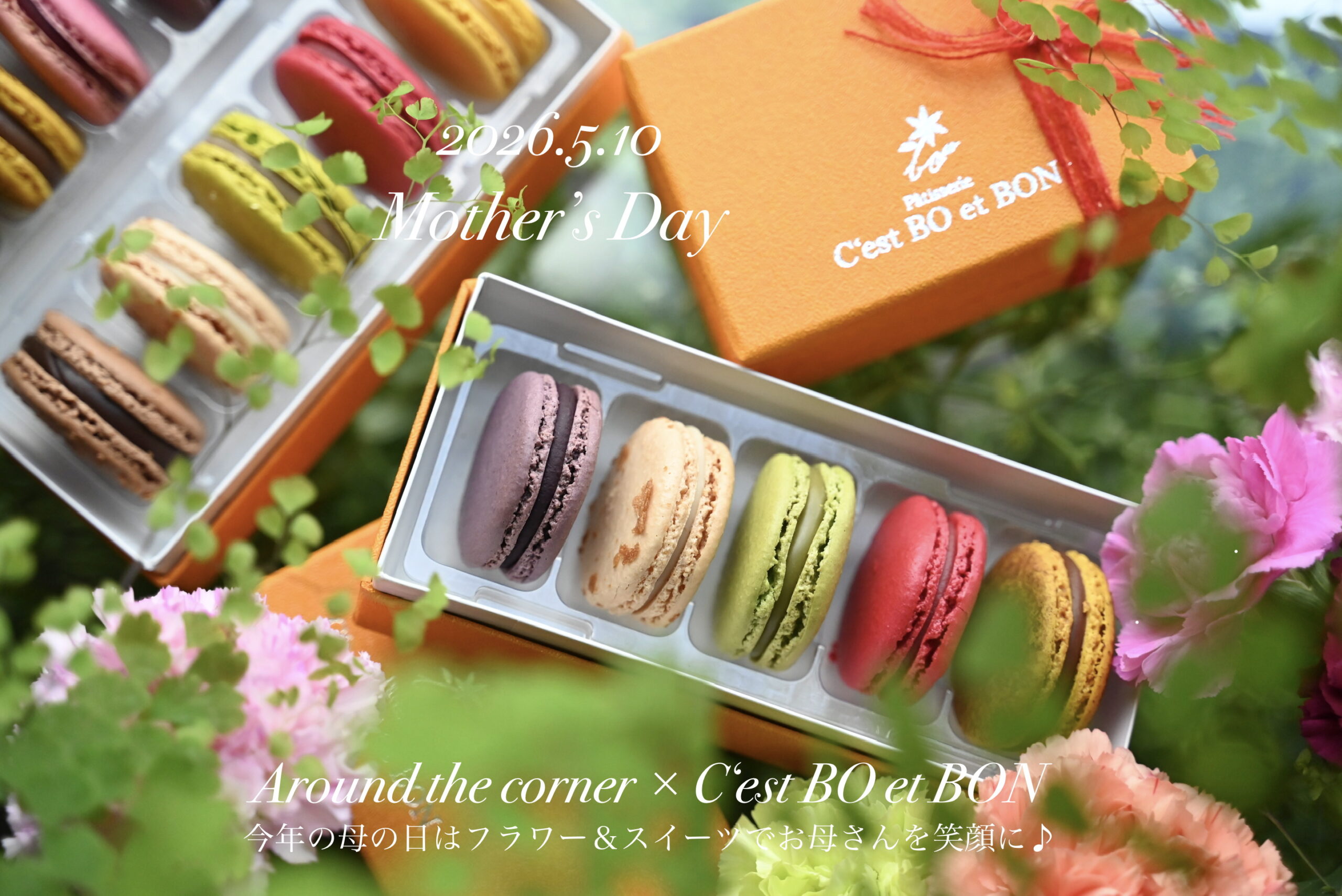 母の月フラワーギフト2026